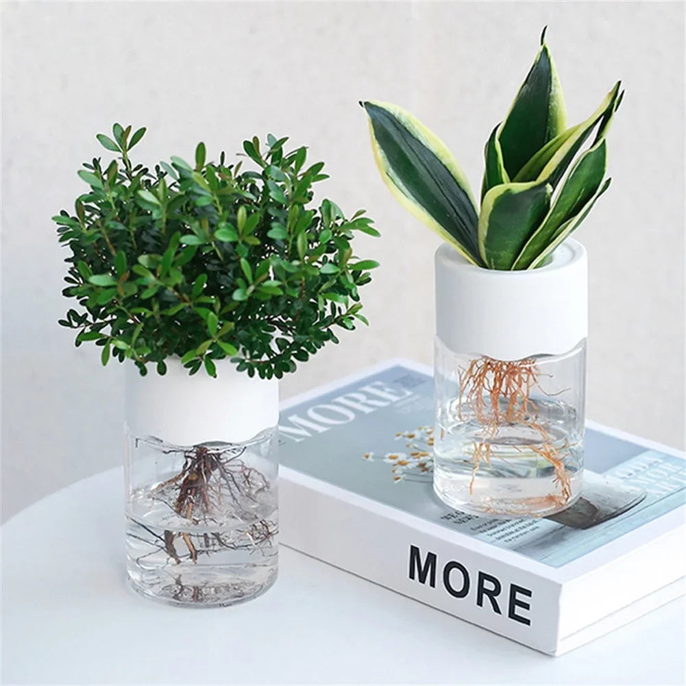 Mini vaso hidropônico Decoração de vaso de casa Vidro de imitação transparente Vasos de plantas sem solo Potes de plantas verdes para decoração de casa