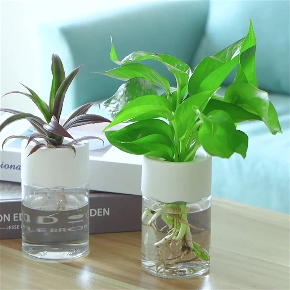 Mini vaso hidropônico Decoração de vaso de casa Vidro de imitação transparente Vasos de plantas sem solo Potes de plantas verdes para decoração de casa
