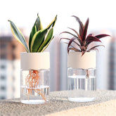 Mini vaso hidropônico Decoração de vaso de casa Vidro de imitação transparente Vasos de plantas sem solo Potes de plantas verdes para decoração de casa